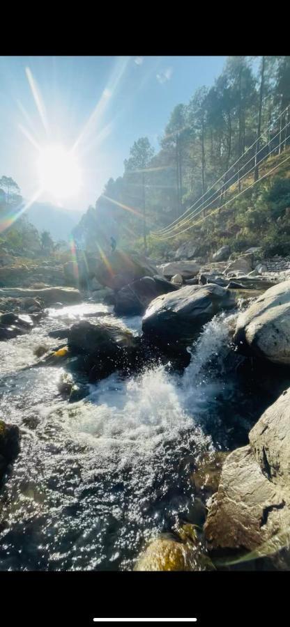 Chirag Homestay Kainchi Nainital Exteriör bild